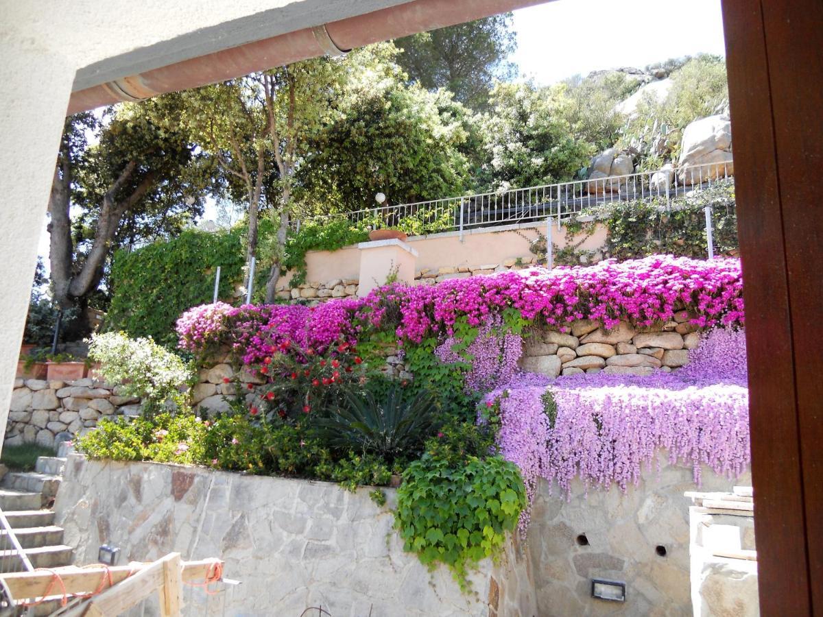 Residence Borgo Punta Villa La Maddalena  Dış mekan fotoğraf